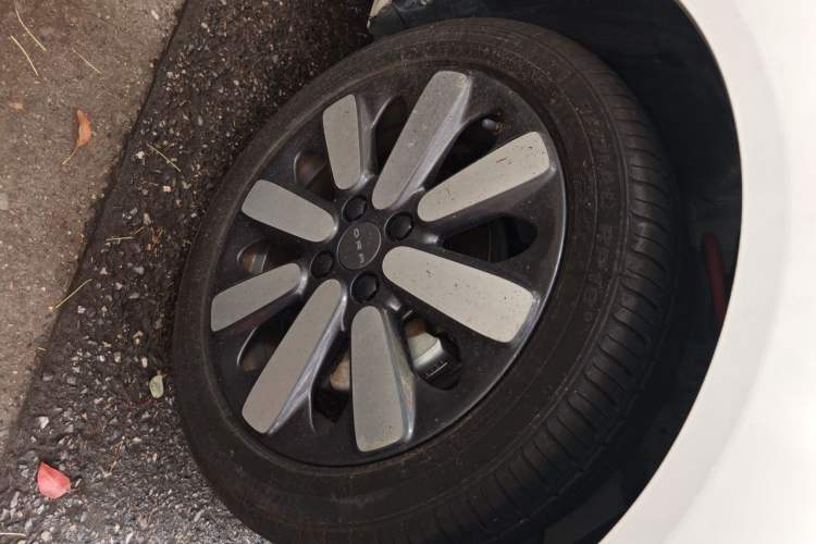Used ORA Black Cat 2019 351 km Goddess Edition Right Front Wheel Hub