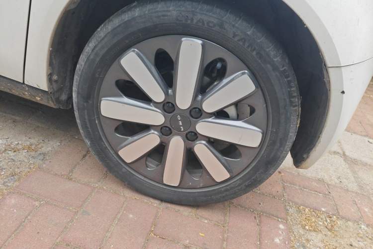 Used ORA Black Cat 2019 351 km Family Edition Right Front Wheel Hub