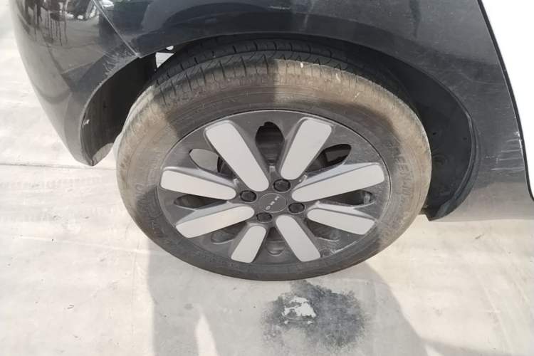 Used ORA Black Cat 2019 351 km Family Edition Right Rear Wheel Hub