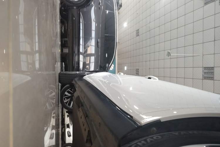 Used ORA Black Cat 2019 351 km Lingzhi Edition Right Side Sill
