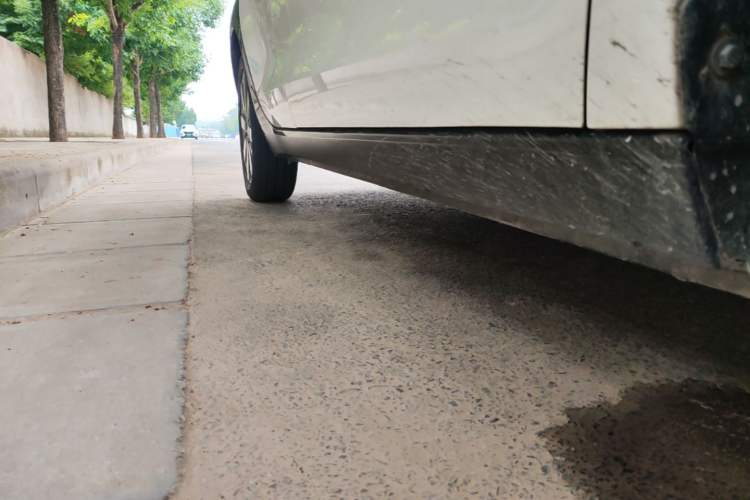 Used ORA Black Cat 2019 351 km Goddess Edition Right Side Sill