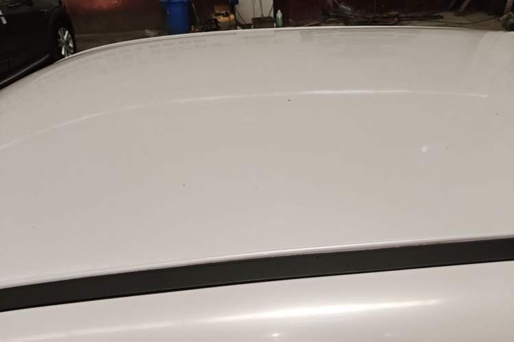 Used ORA Black Cat 2019 351 km Fun Edition Roof