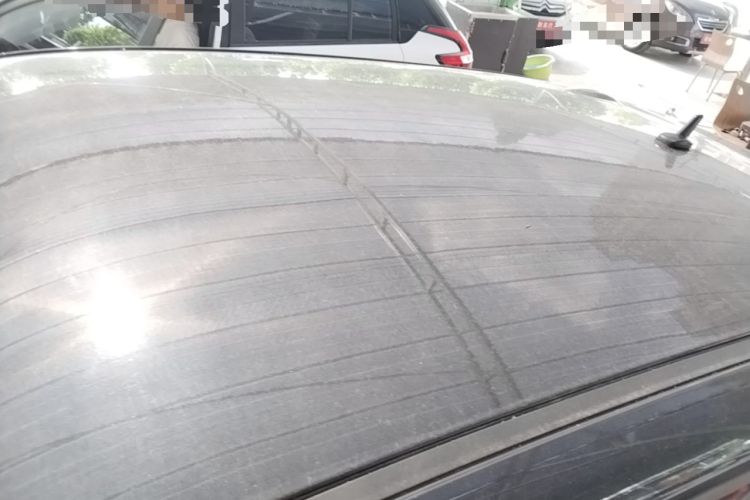 Used ORA Black Cat 2019 351 km Family Edition Roof