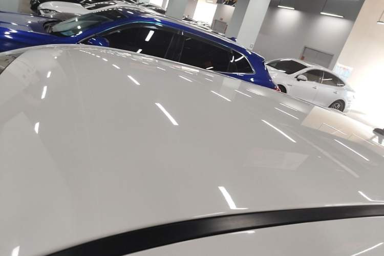 Used ORA Black Cat 2019 310km Fun Edition Roof