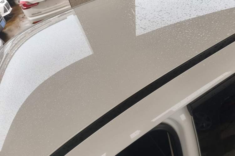 Used ORA Black Cat 2019 351 km Family Edition Roof