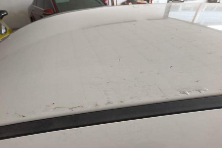 Used ORA Black Cat 2019 351 km Fun Edition Roof