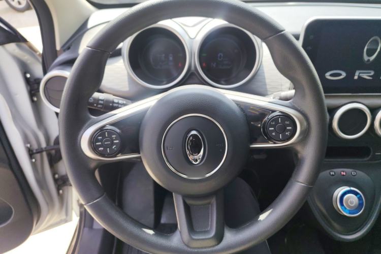 Used ORA Black Cat 2019 351 km Family Edition Steering Wheel
