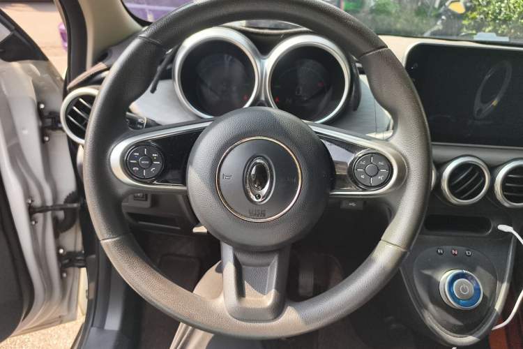 Used ORA Black Cat 2019 351 km Family Edition Steering Wheel
