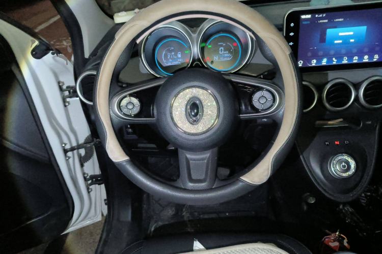 Used ORA Black Cat 2019 351 km Family Edition Steering Wheel