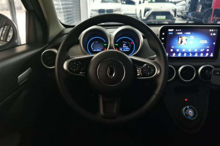 Used ORA Black Cat 2019 351 km Family Edition Steering Wheel