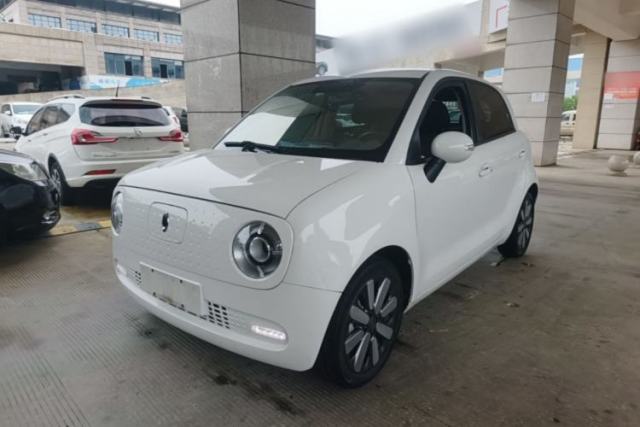 Used ORA Black Cat 2019 351 km Family Edition