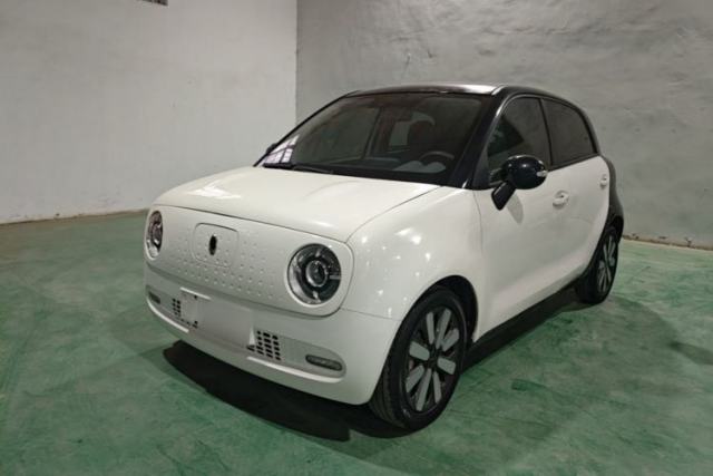 Used ORA Black Cat 2019 351 km Family Edition