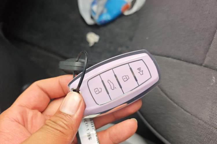 Used ORA Black Cat 2019 301km Standard Edition Vehicle Key