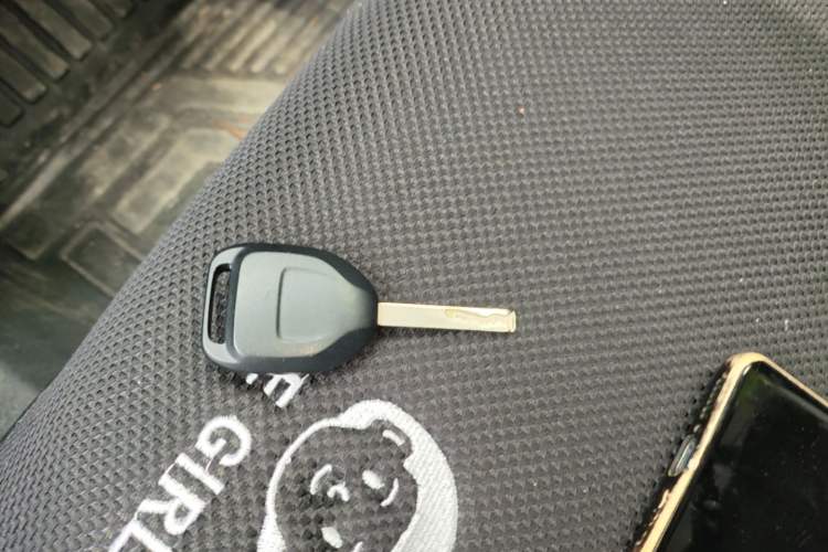 Used ORA Black Cat 2019 351 km Goddess Edition Vehicle Key