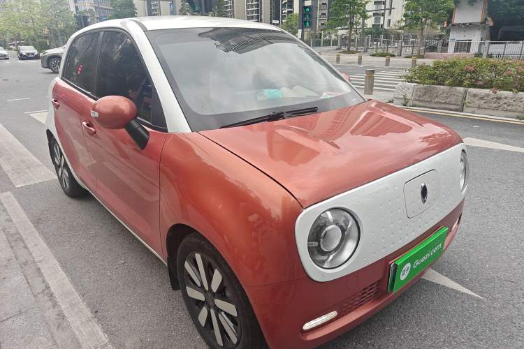 Used ORA Black Cat 2019 351 km Goddess Edition Exterior 1