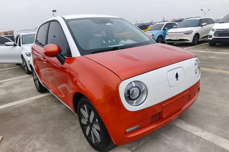Used ORA Black Cat 2019 351 km Goddess Edition Exterior 1