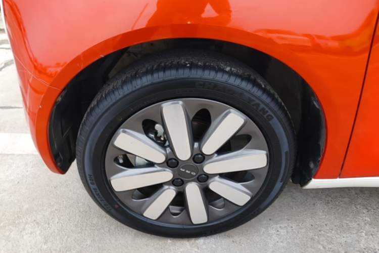 Used ORA Black Cat 2019 351 km Goddess Edition Exterior 4