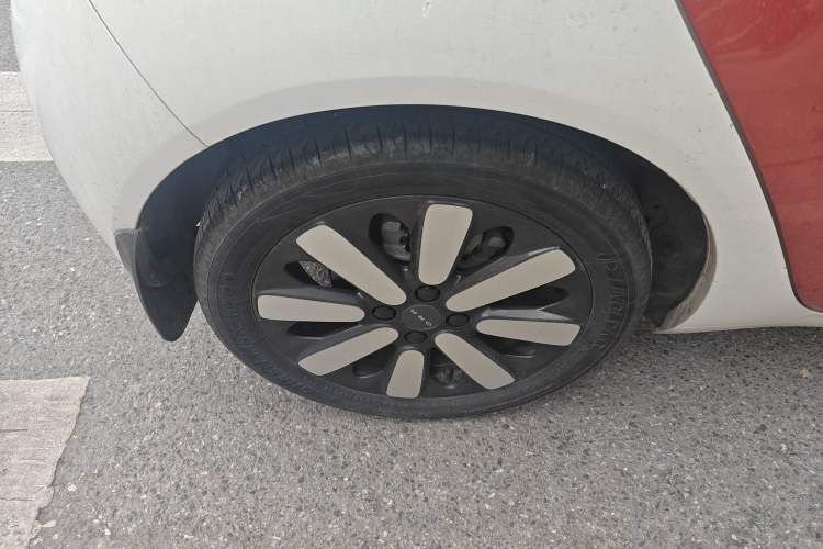 Used ORA Black Cat 2019 351 km Goddess Edition Exterior 5