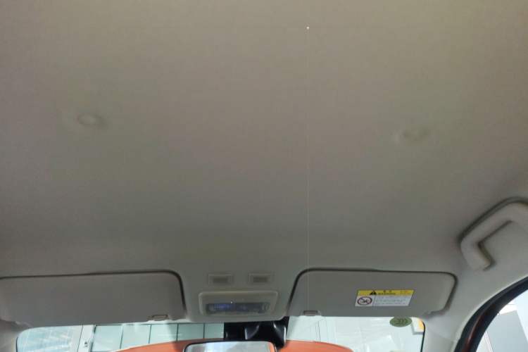 Used ORA Black Cat 2019 351 km Goddess Edition Headliner