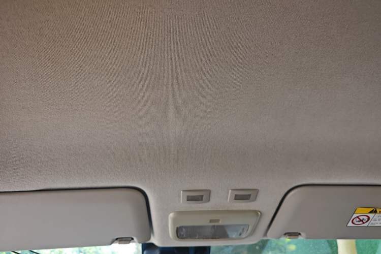 Used ORA Black Cat 2019 351 km Goddess Edition Headliner