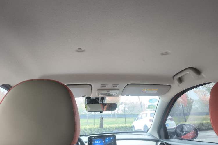 Used ORA Black Cat 2019 351 km Goddess Edition Headliner