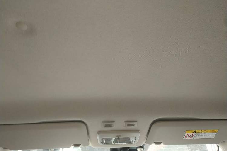 Used ORA Black Cat 2019 351 km Goddess Edition Headliner