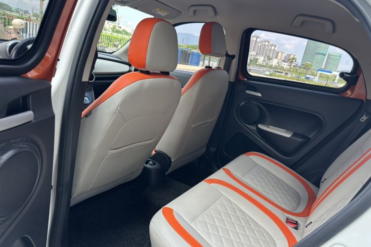 Used ORA Black Cat 2019 351 km Goddess Edition Interior 3