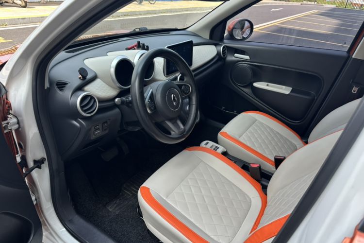 Used ORA Black Cat 2019 351 km Goddess Edition Interior 4