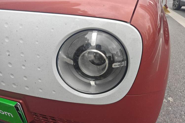 Used ORA Black Cat 2019 351 km Goddess Edition Left Front Headlight