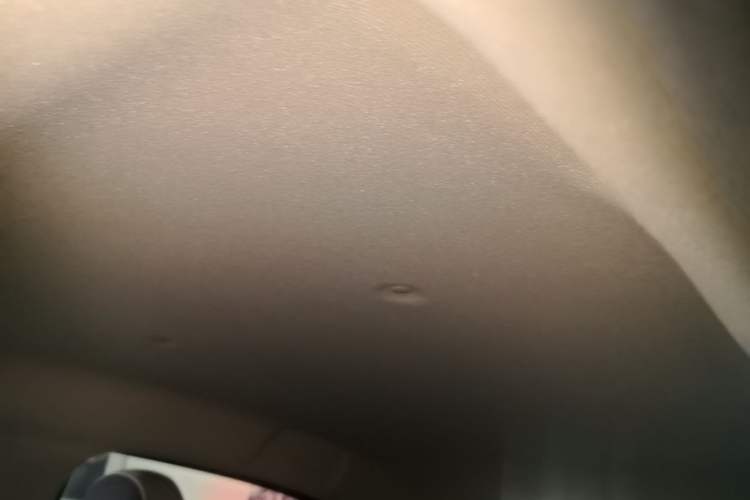 Used ORA Black Cat 2021 301 km Basic Version Headliner
