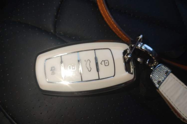 Used ORA Black Cat 2021 301 km Basic Version Vehicle Key