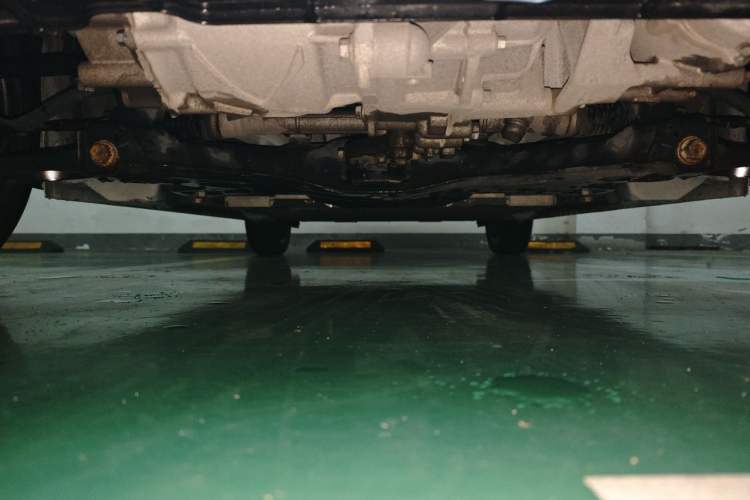 Used ORA Black Cat 2021 351 km Standard Version Chassis Front