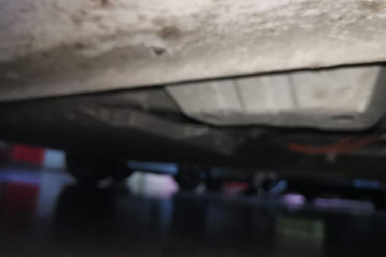 Used ORA Black Cat 2021 301 km Basic Version Chassis Front Right