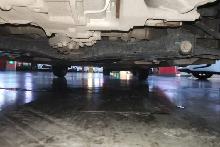 Used ORA Black Cat 2021 301 km Basic Version Chassis Front