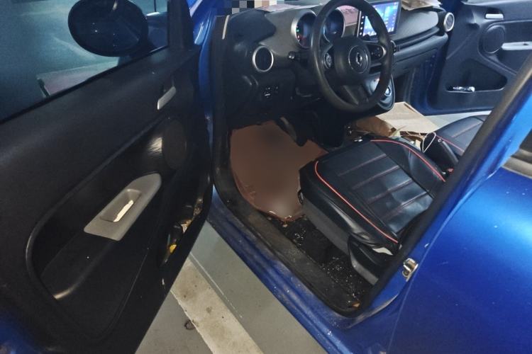 Used ORA Black Cat 2021 301 km Basic Version Driver Seat