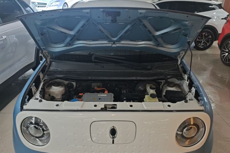 Used ORA Black Cat 2021 301 km Basic Version Engine Bay