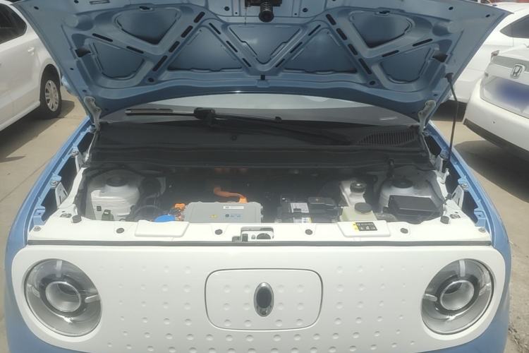 Used ORA Black Cat 2021 301km Cute Pet Edition Engine Bay