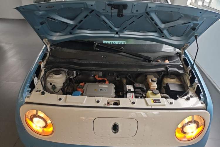 Used ORA Black Cat 2021 301 km Basic Version Engine Bay