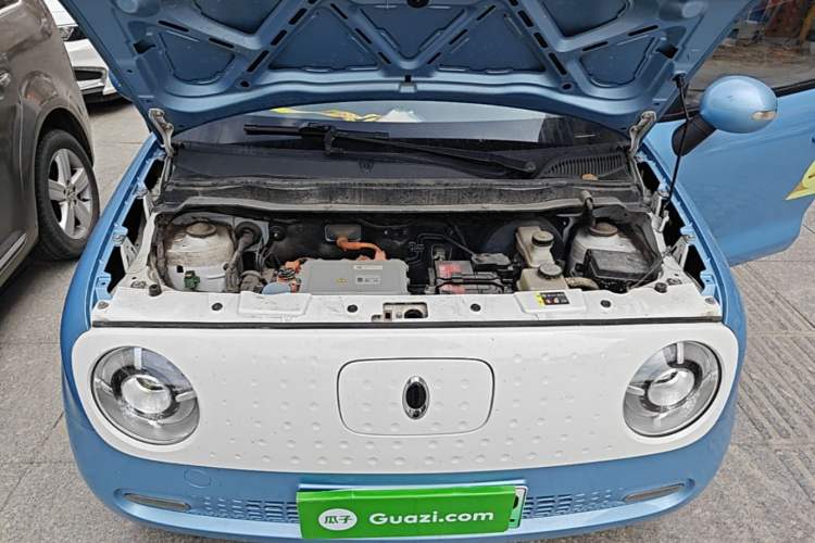 Used ORA Black Cat 2021 351 km Standard Version Engine Bay
