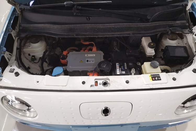 Used ORA Black Cat 2021 351 km Luxury Version Engine Bay