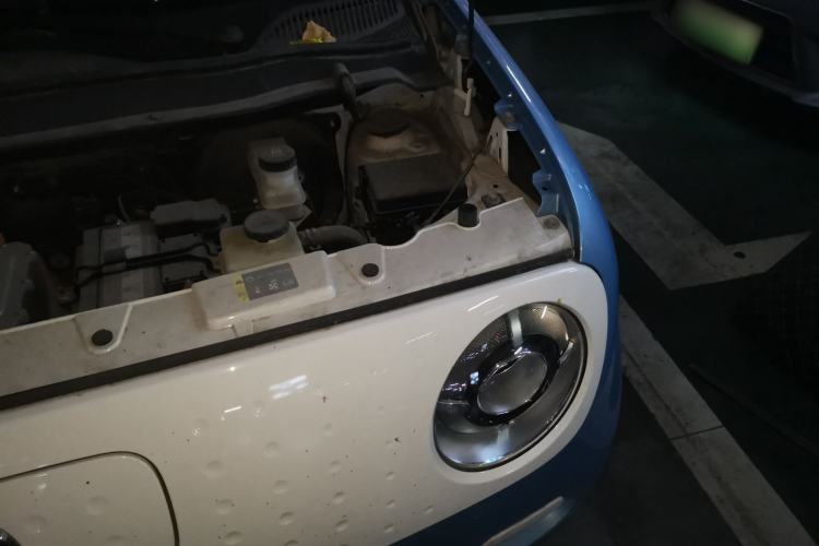 Used ORA Black Cat 2021 301 km Basic Version Engine Bay Left