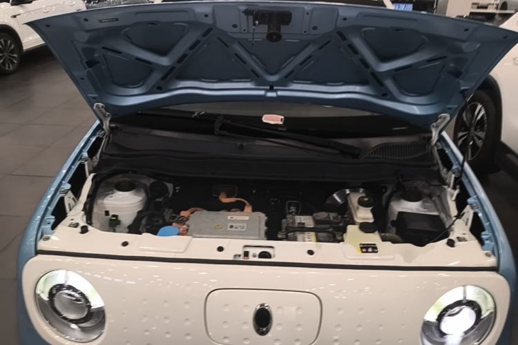 Used ORA Black Cat 2021 351 km Luxury Version Engine Bay