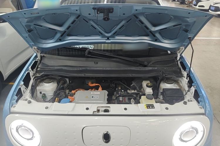 Used ORA Black Cat 2021 351 km Luxury Version Engine Bay