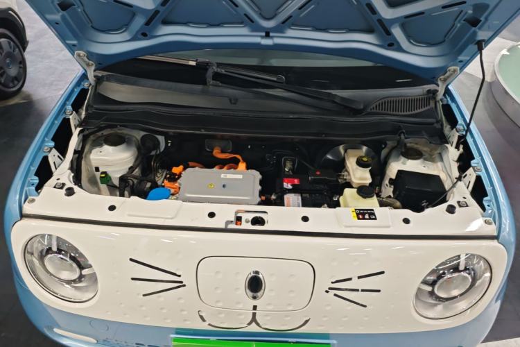 Used ORA Black Cat 2021 301 km Basic Version Engine Bay