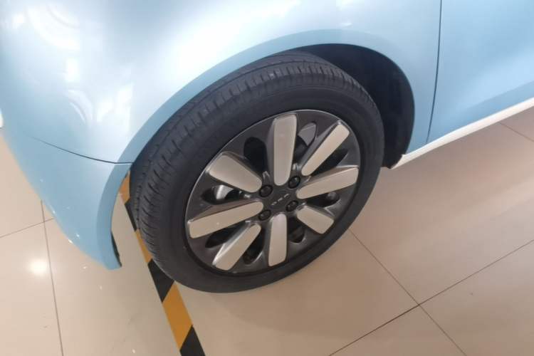 Used ORA Black Cat 2021 351 km Standard Version Exterior 4
