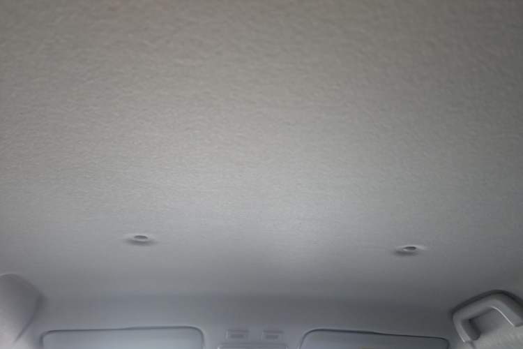 Used ORA Black Cat 2021 351 km Standard Version Headliner