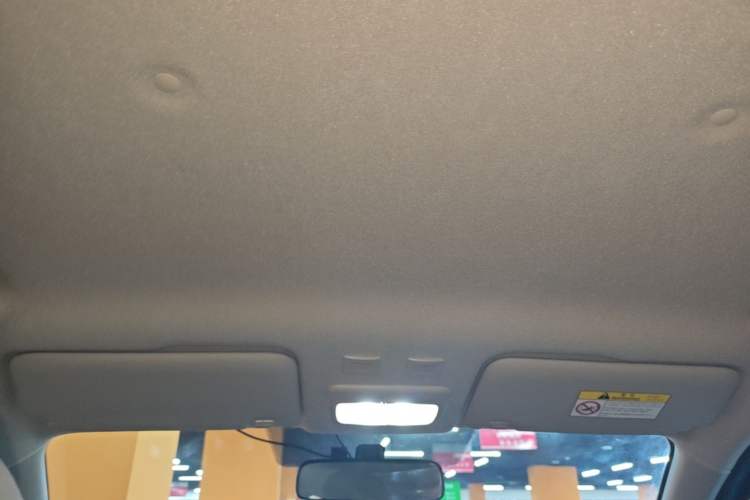 Used ORA Black Cat 2021 301 km Basic Version Headliner