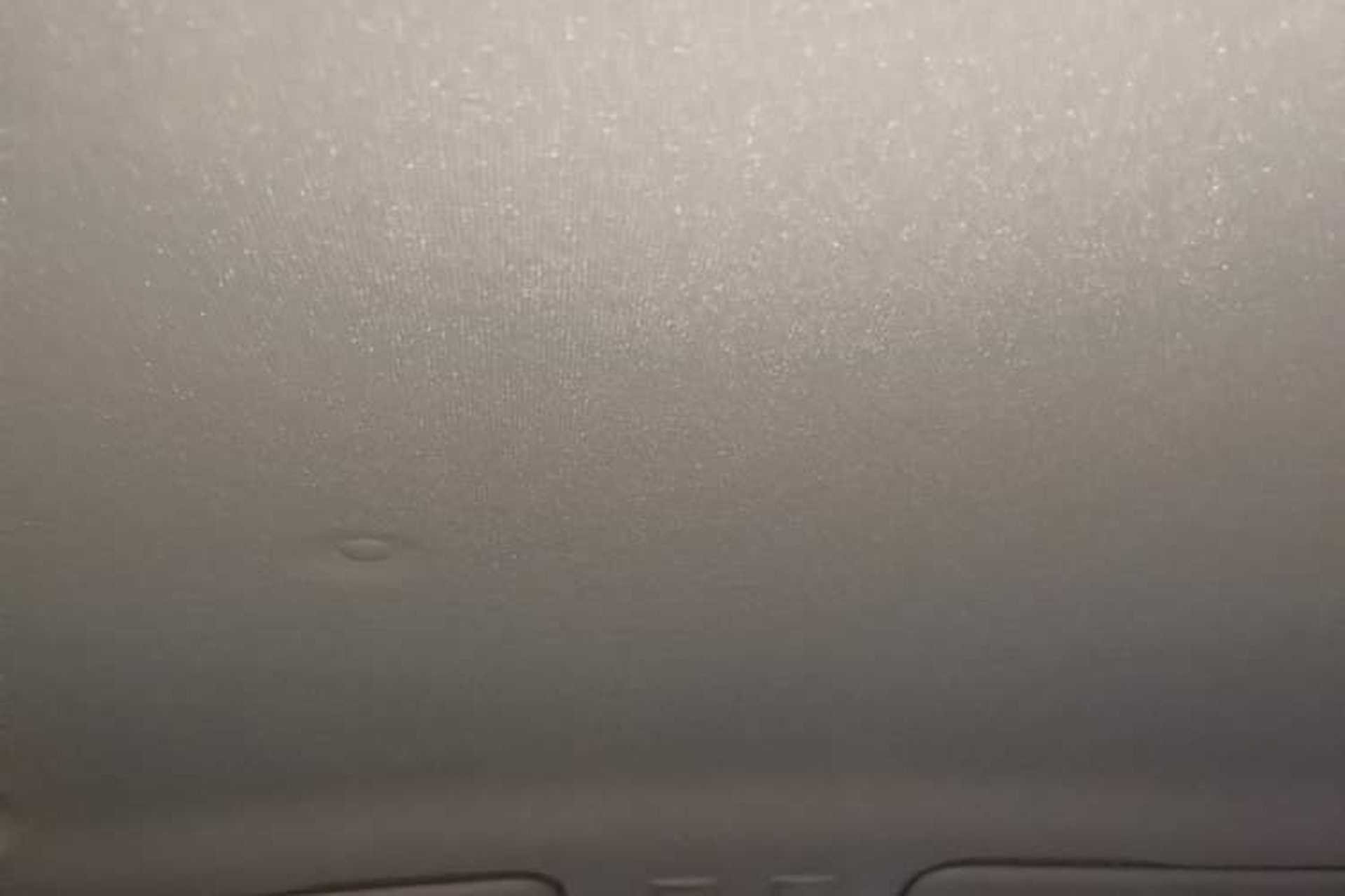 Used ORA Black Cat 2021 301 km Basic Version Headliner