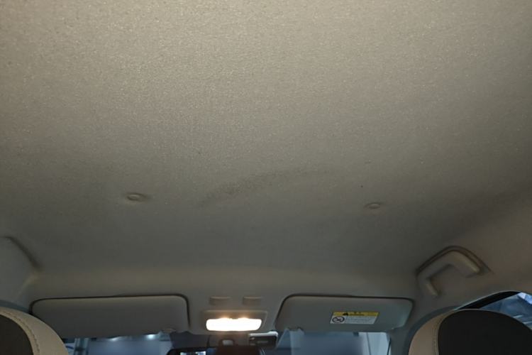 Used ORA Black Cat 2021 301 km Basic Version Headliner