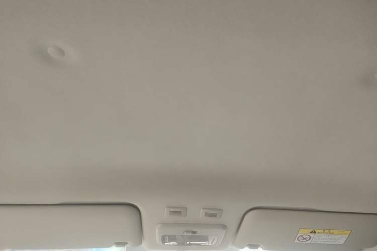 Used ORA Black Cat 2021 301km Cute Pet Edition Headliner